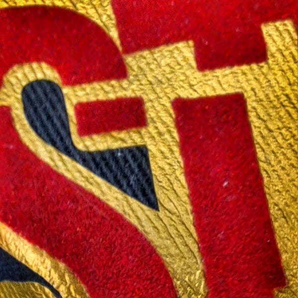 Detail of the Steazy print ni gold and red velvet
